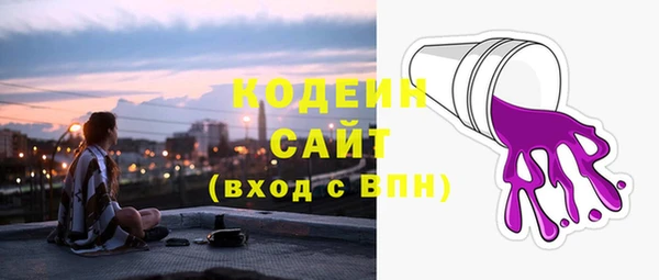 хмурый Дмитров