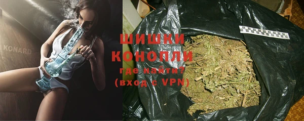 ешки Дмитриев